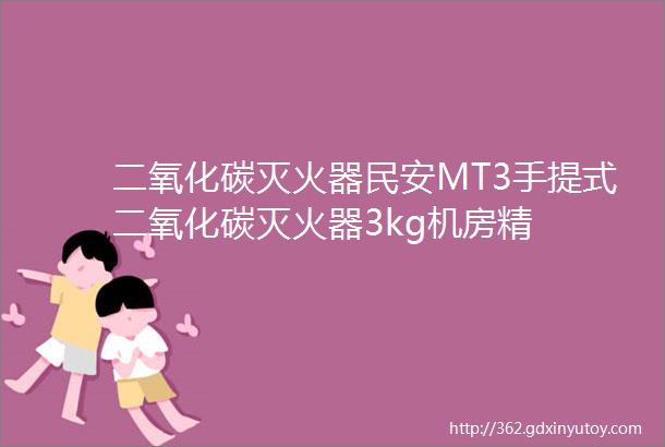 二氧化碳灭火器民安MT3手提式二氧化碳灭火器3kg机房精