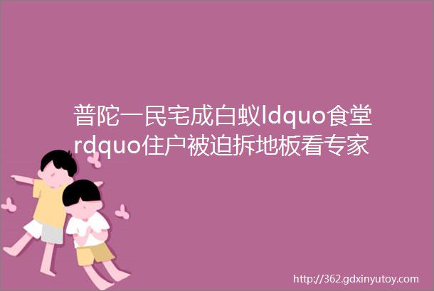 普陀一民宅成白蚁ldquo食堂rdquo住户被迫拆地板看专家如何支招rarr