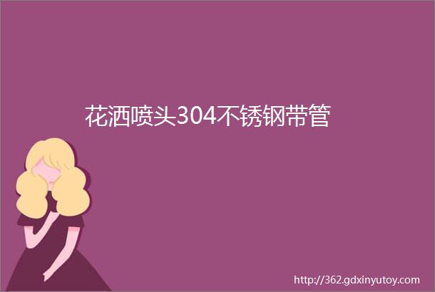 花洒喷头304不锈钢带管