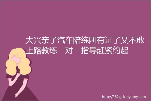 大兴亲子汽车陪练团有证了又不敢上路教练一对一指导赶紧约起