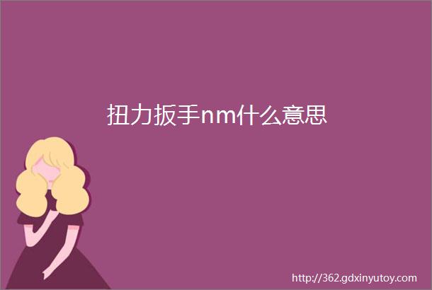 扭力扳手nm什么意思