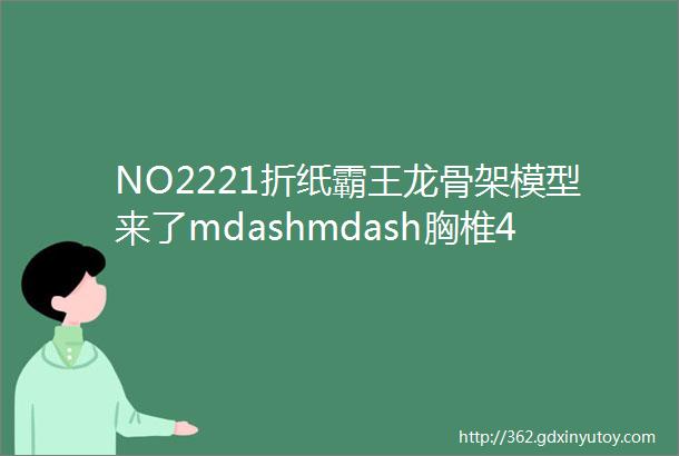 NO2221折纸霸王龙骨架模型来了mdashmdash胸椎45