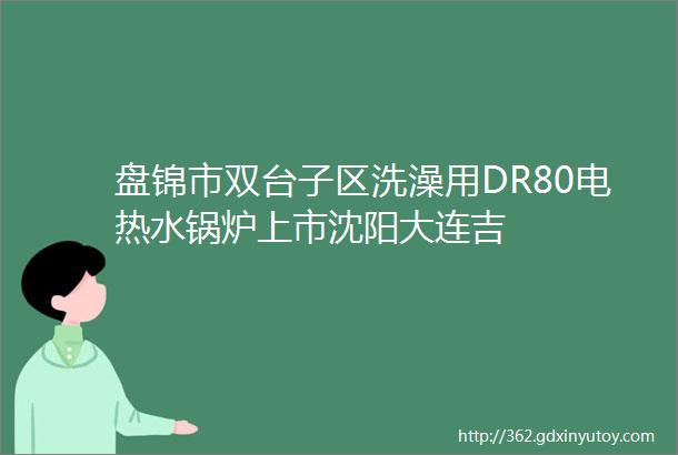 盘锦市双台子区洗澡用DR80电热水锅炉上市沈阳大连吉