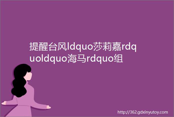 提醒台风ldquo莎莉嘉rdquoldquo海马rdquo组团来袭华南这些地方要注意了