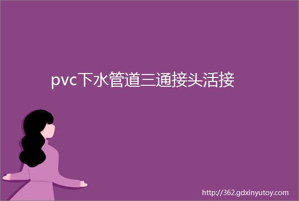 pvc下水管道三通接头活接