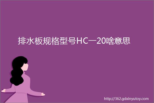 排水板规格型号HC一20啥意思