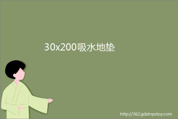 30x200吸水地垫