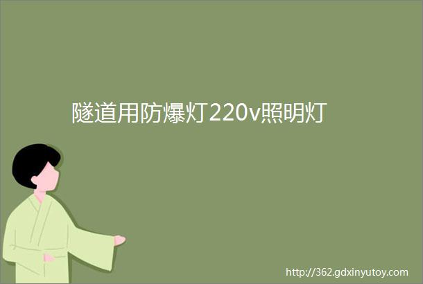 隧道用防爆灯220v照明灯