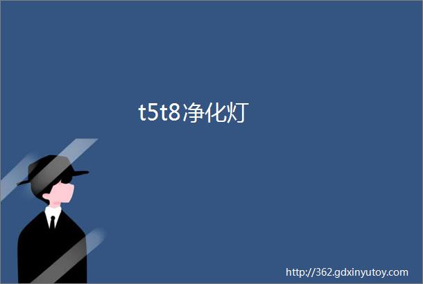 t5t8净化灯