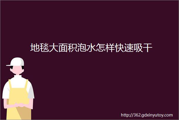 地毯大面积泡水怎样快速吸干