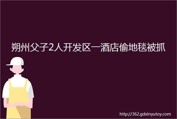 朔州父子2人开发区一酒店偷地毯被抓