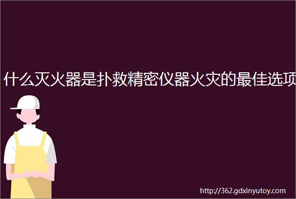 什么灭火器是扑救精密仪器火灾的最佳选项