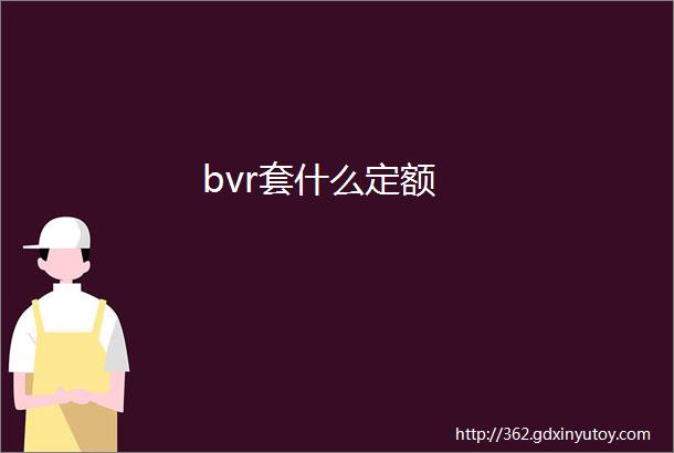 bvr套什么定额