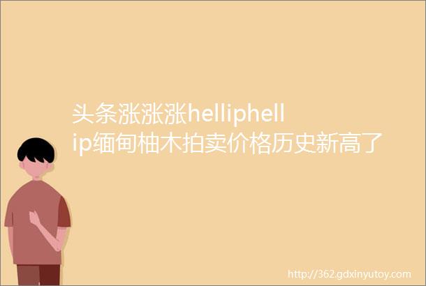 头条涨涨涨helliphellip缅甸柚木拍卖价格历史新高了