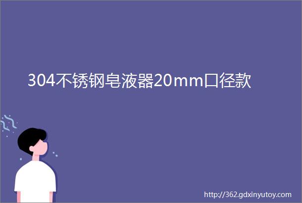 304不锈钢皂液器20mm口径款