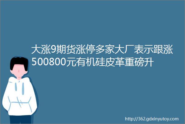 大涨9期货涨停多家大厂表示跟涨500800元有机硅皮革重磅升级行业大风口来了