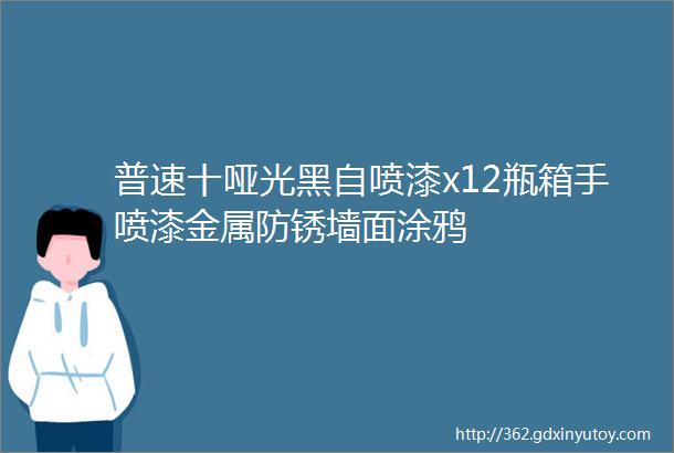 普速十哑光黑自喷漆x12瓶箱手喷漆金属防锈墙面涂鸦