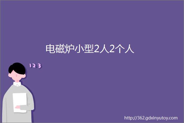 电磁炉小型2人2个人