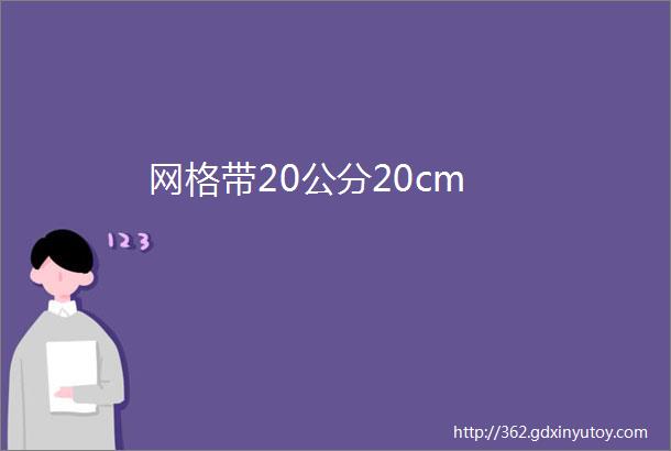 网格带20公分20cm