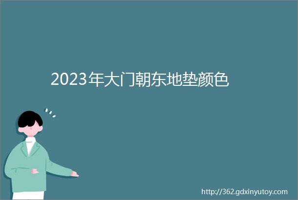 2023年大门朝东地垫颜色