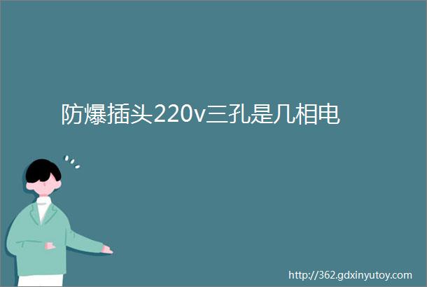 防爆插头220v三孔是几相电