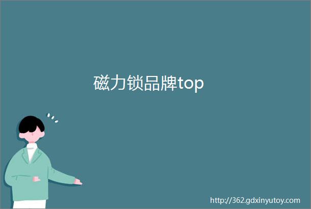 磁力锁品牌top